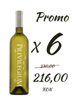 Six Pack Privilegium Sauvignon Blanc