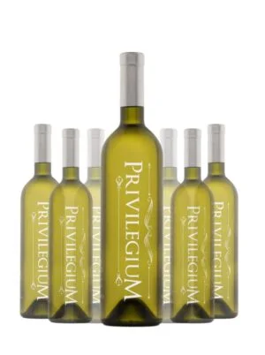 Sauvignon Blanc -Privilegium Medium Pack 18 sticle